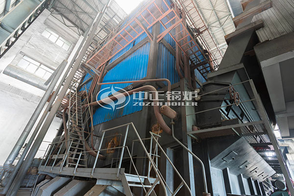 hot water boiler 10 MW