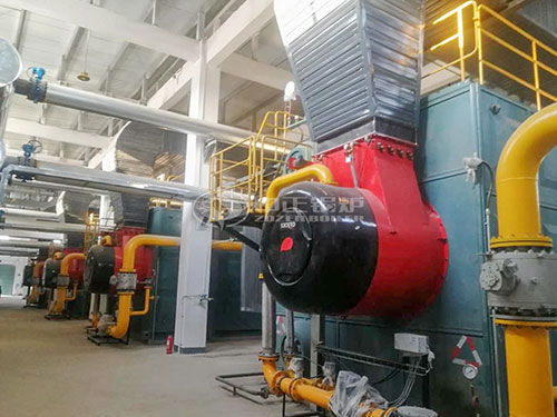 szs oil fired hot water boiler