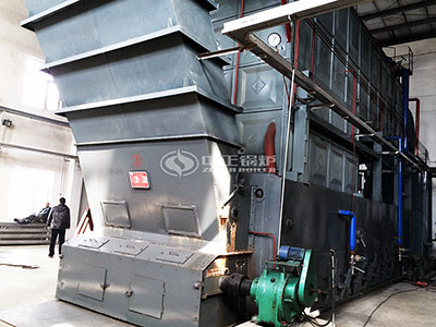 20 ton coal-fired steam boiler