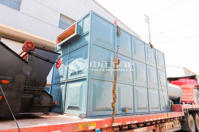 coal-fired thermal oil boiler