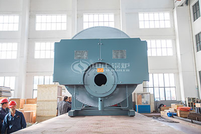 wns package gas steam boiler