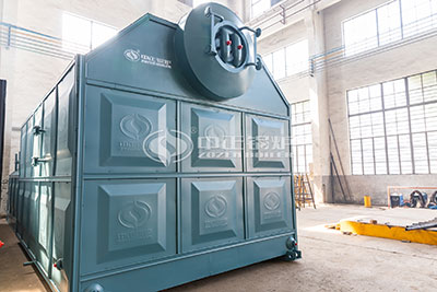 biomass-fired hot water boiler sale