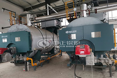 wns LPG Package Boiler