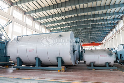 wns light oil steam boiler