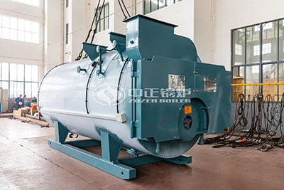 20tons biogas boiler sales