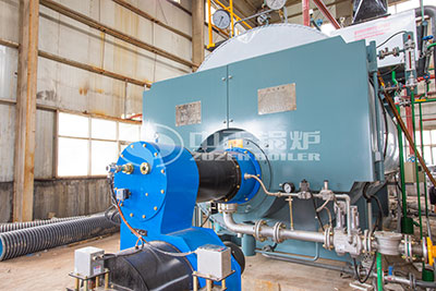 6tph WNS Gas-fired Steam Boiler