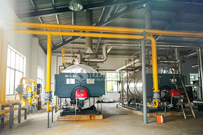 WNS diesel fired boiler