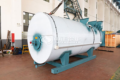 wns natural gas biogas fired boiler