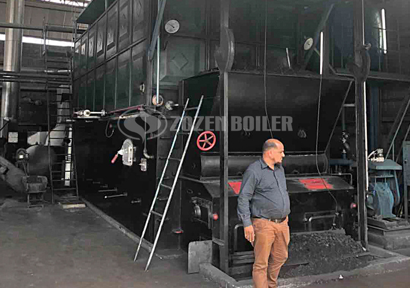 20tons SZL Coal Steam Boiler