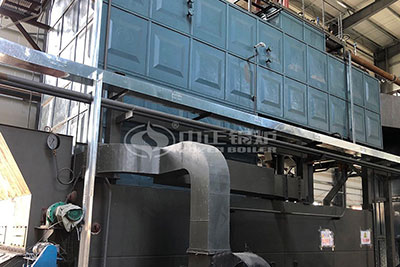 20tph SZL Biomass Steam Boiler