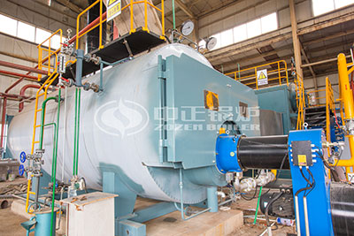 6ton gas steam boiler for food factory