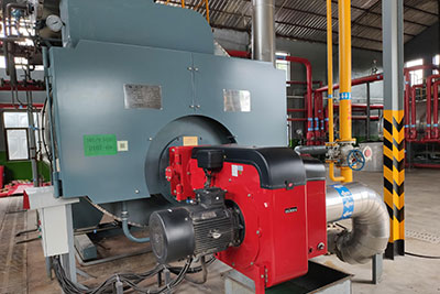 automatic gas steam boiler