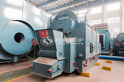 dzl biomass fired boiler