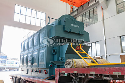 dzl rice husk biomass boiler