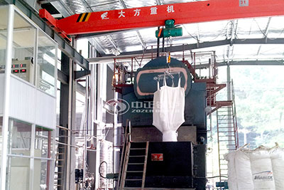 8 tons biomass steam boiler