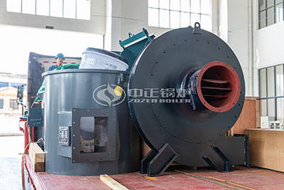 dzl coal fired boilers auxiliary