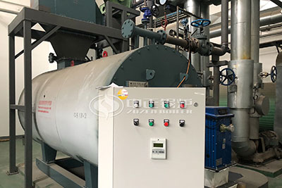 gas fired thermal oil boiler