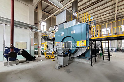 wns gas fired boiler site