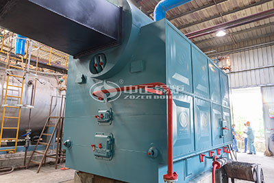 4 ton DZL coal fired steam boiler