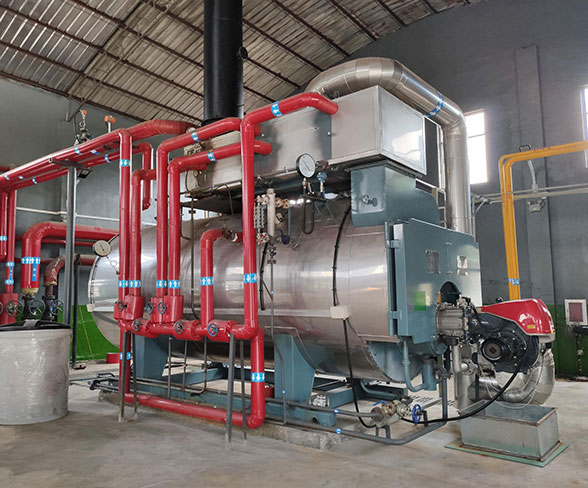 4 ton diesel burner boiler