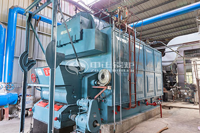 energy saving coal fired boiler dealer