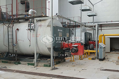 10 ton capacity gas fired boiler