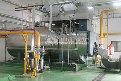 WNS gas fired steam boiler