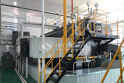 gas and oil steam boiler for paper plant