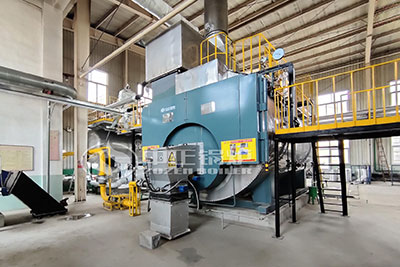 WNS oil gas fired boiler