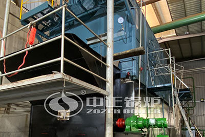 dzl seires coal fired boiler