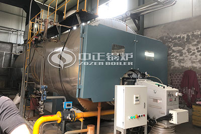 10 ton gas boiler for textile plant