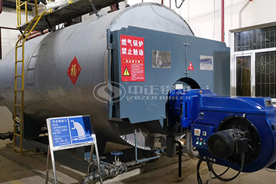 4.2 MW gas hot water boiler