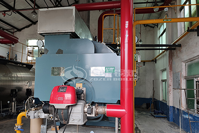 6 ton gas steam boiler