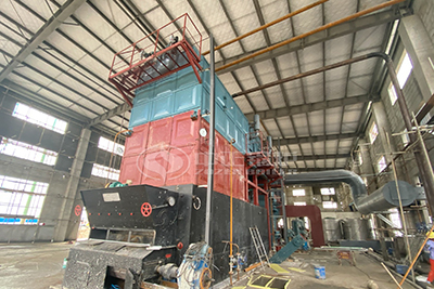 biomass fuel steam boiler