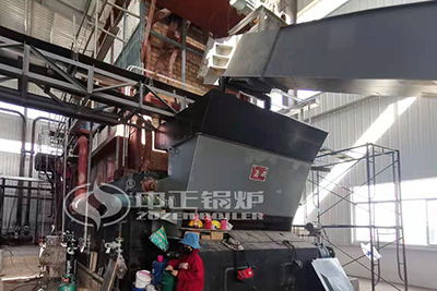 biomass pellet steam boiler