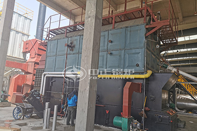 coal fired moving grate boiler