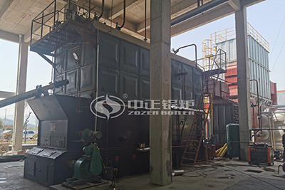 10 ton biomass fired boiler