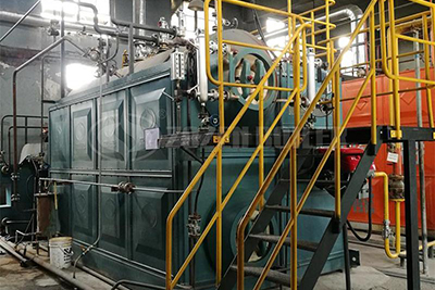 20 ton gas steam boiler