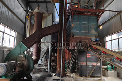 6 tph biomass wood chips fired boiler