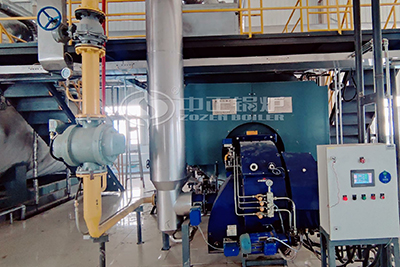 8 ton heavy oil fired boiler in Malaysia