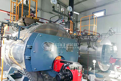 1 ton natural gas boiler