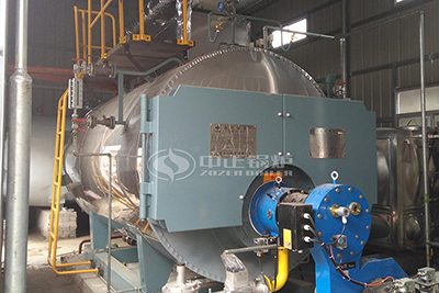 6 tph gas boiler