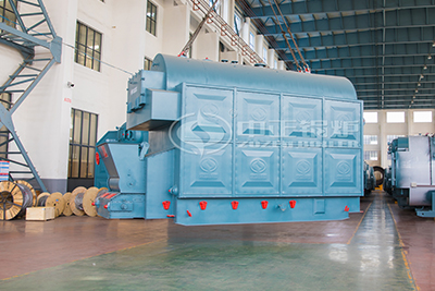 coal biomass steam boiler