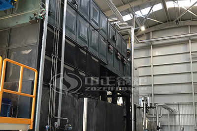 DZL biomass steam boiler