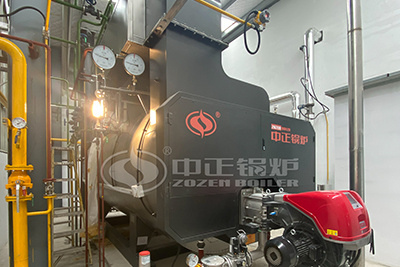 wns series 6 ton oil gas boiler