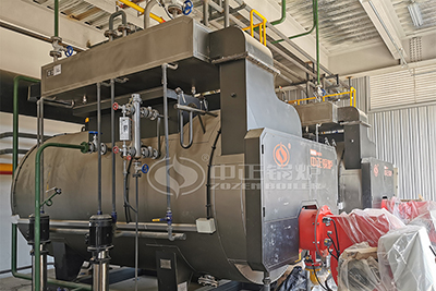 ZOZEN Liquid Fuel Steam Boilers