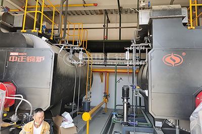 steam boiler in dariy industry