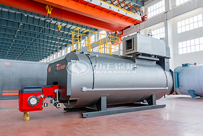 packaged light oil boiler