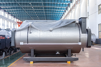 biogas fired steam boiler