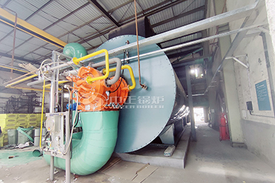 oil gas fired thermal fluid heater